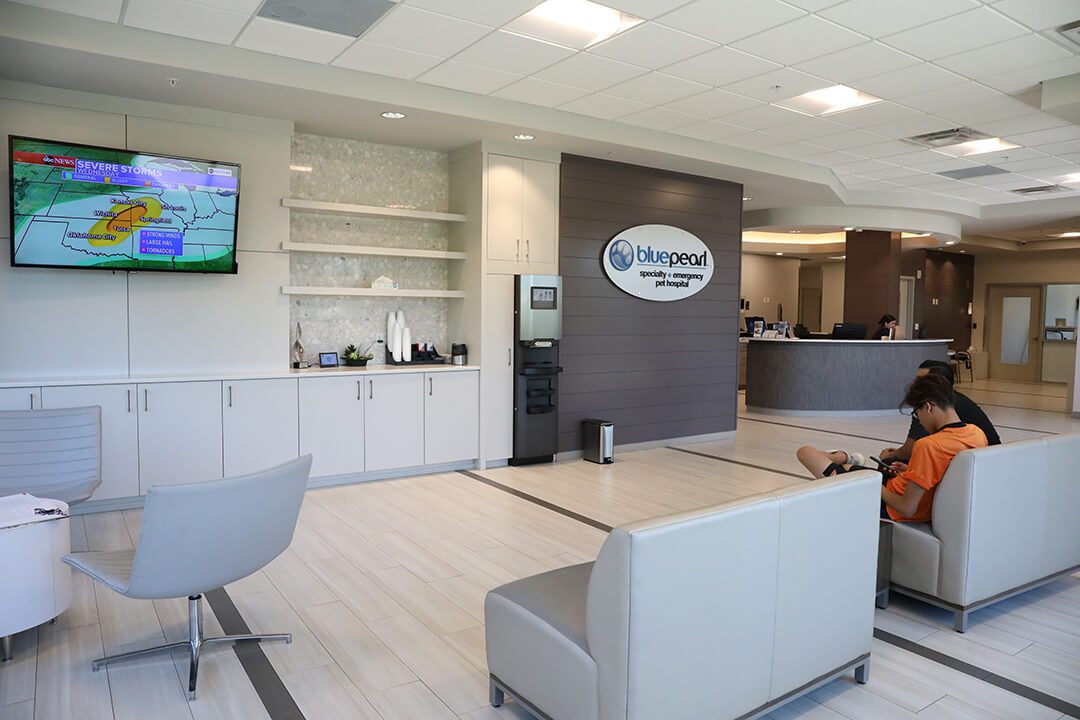 Bright, spacious lobby has a tv on the wall and two benches before it.