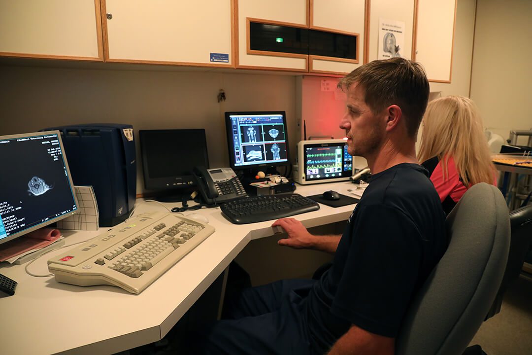 A neurologist looks at a brain scan on a computer.