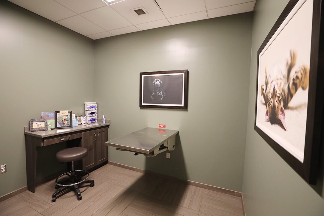 A patient exam room with a table and desk