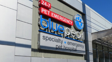 BluePearl Pet Hospital in Philadelphia, PA pet hospital exterior