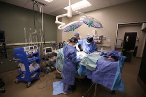Three veterinarians in scrubs work together to perform surgery in an operating room.