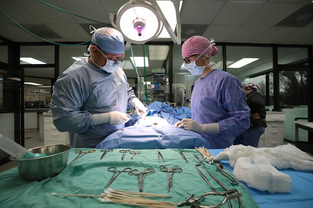 Two surgeons perform an operation on patient with a green table in forefront full of surgical equipment.