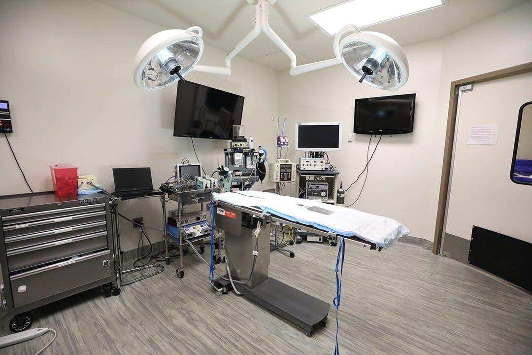 Surgery suite has a table with two bright lights overhead.