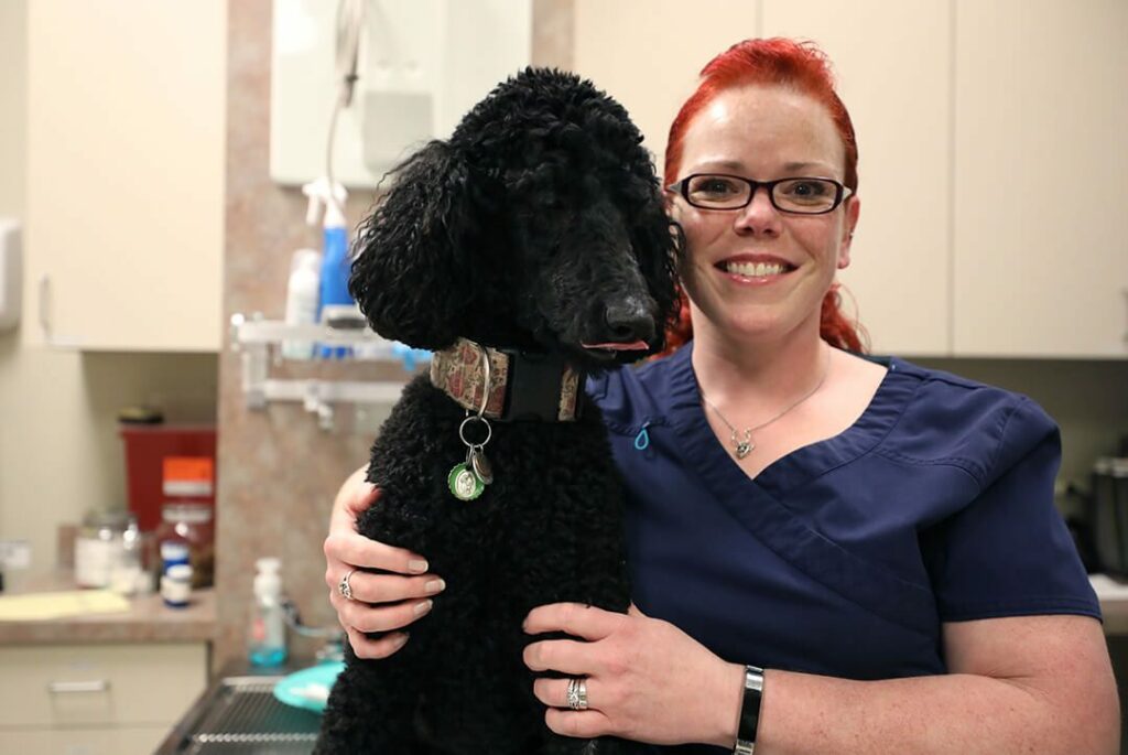 A smiling red-haired tech holds a black poodle.