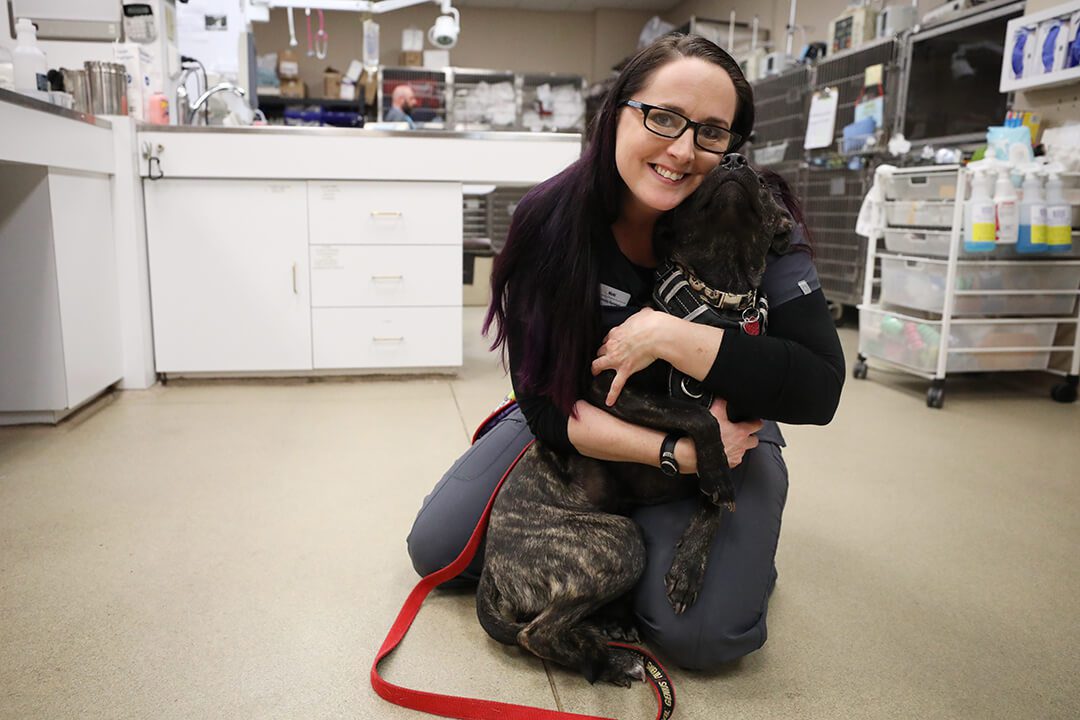 A vet tech hugs a black and white dog