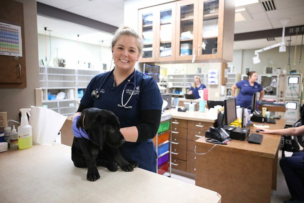 A smiling vet tech holds a black lab puppy.