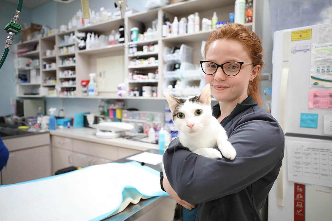 A female vet tech smiles while holding a white and grey cat in her arms.