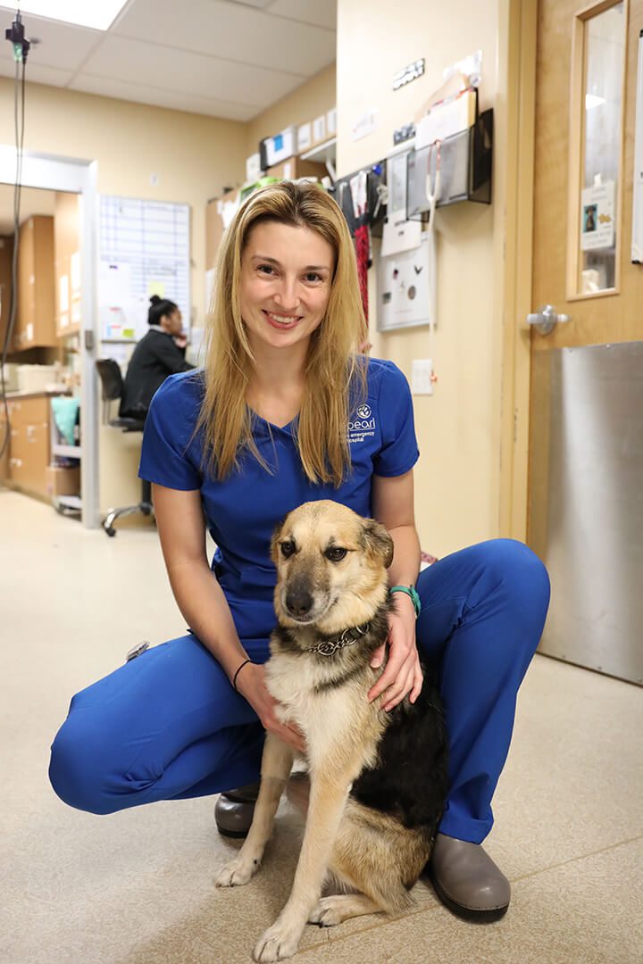 Pretty vet tech in blue scrubs poses with a black and tan dog.