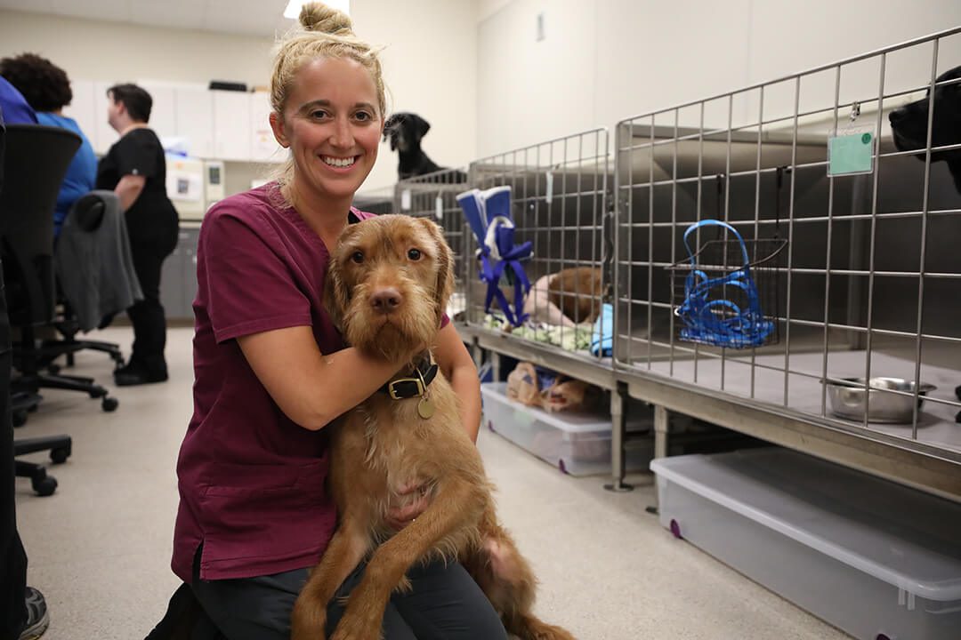 Blond vet tech holds a medium sized brown dog.