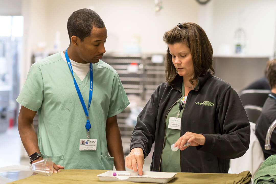 Two veterinarians prepare medications on a tray.