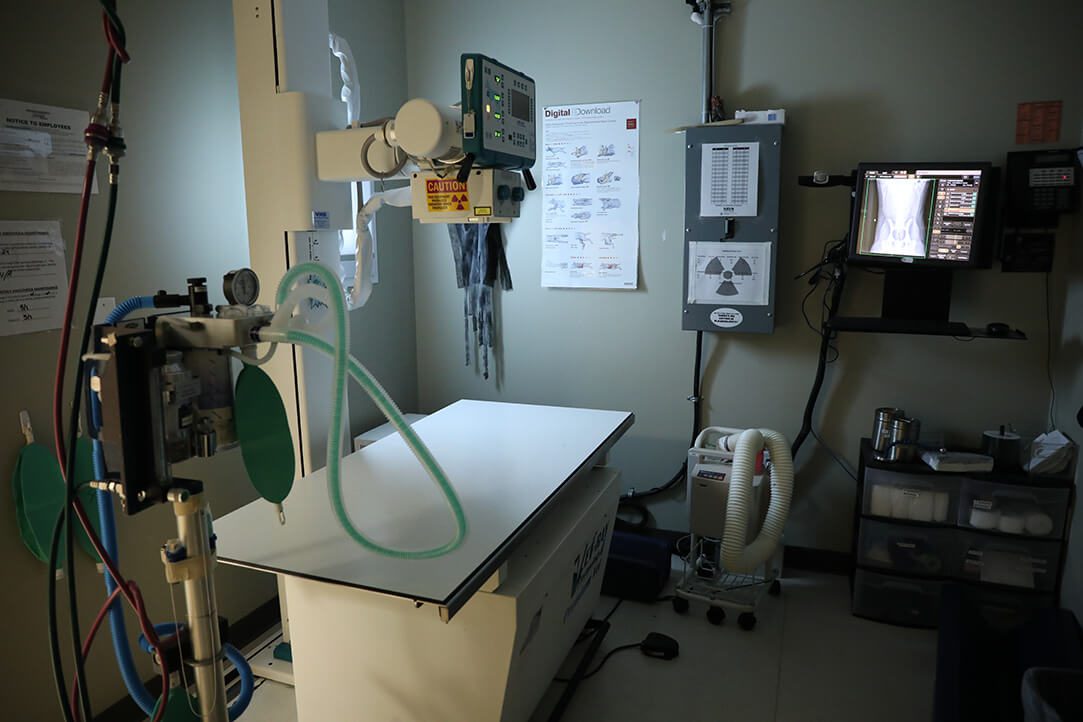 An x-ray table is on the left and monitor is on the right.