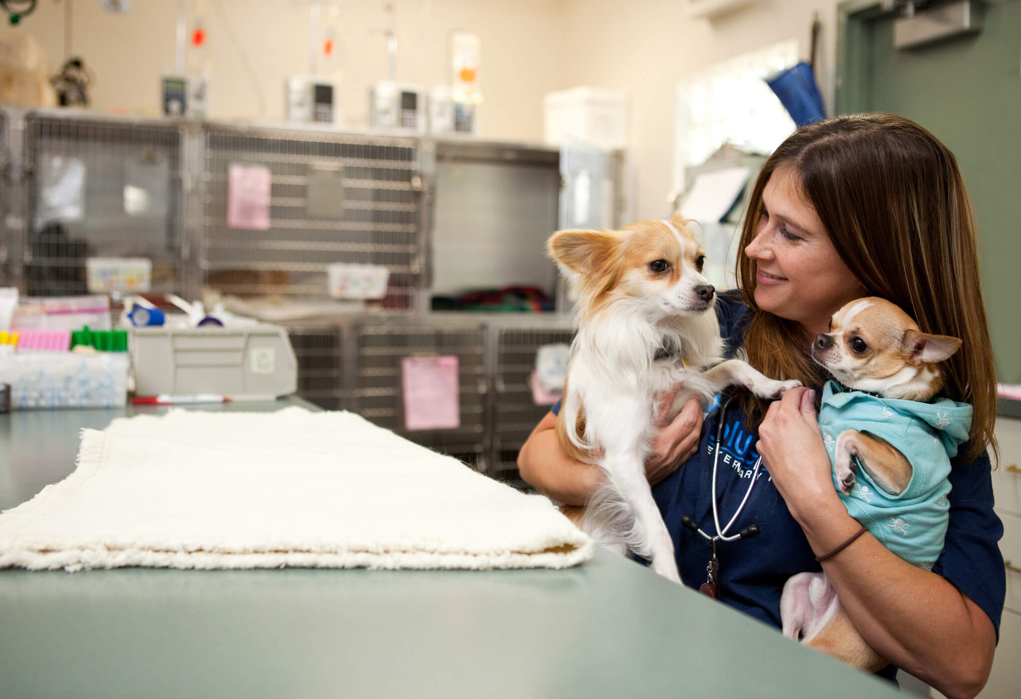 A female veterinarian smiles and holds two small dogs.