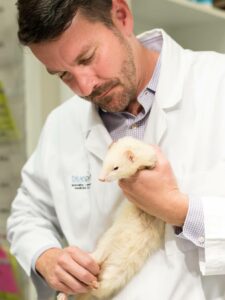 Avian Exotics Medicine Bluepearl Pet Hospital