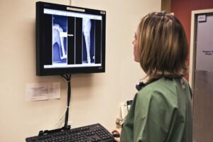 A female veterinarian examines x-rays on a computer screen.