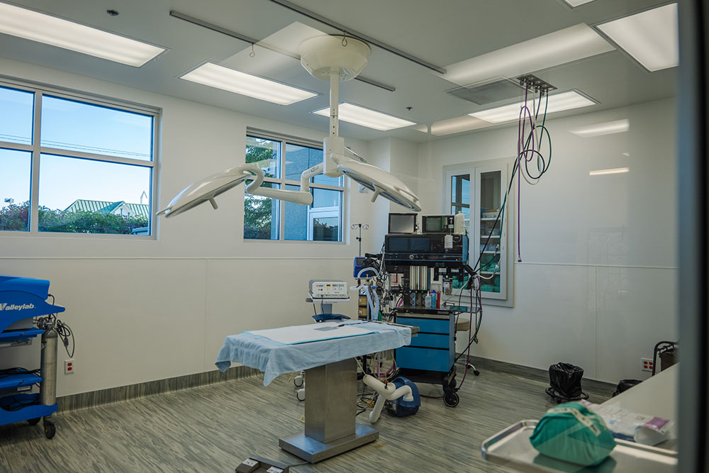 A surgical room in the BluePearl Pet Hospital in Reno, NV.