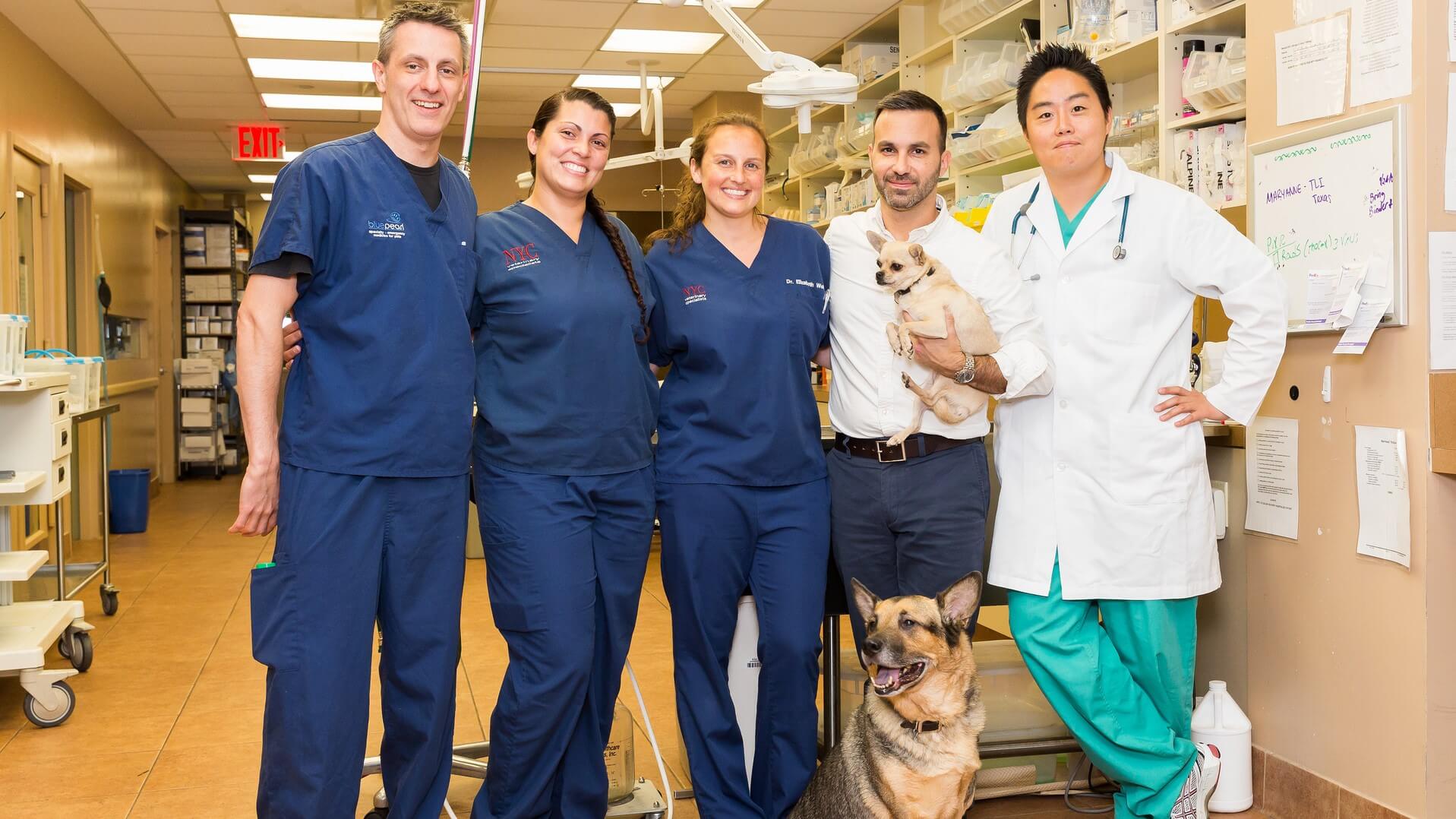 A team of veterinarians pose with two dogs.