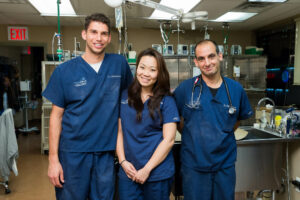 A team of three veterinarians pose for a photo.