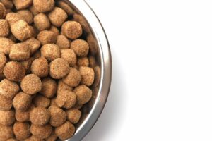 A close-up shot of a bowl of dog kibble.