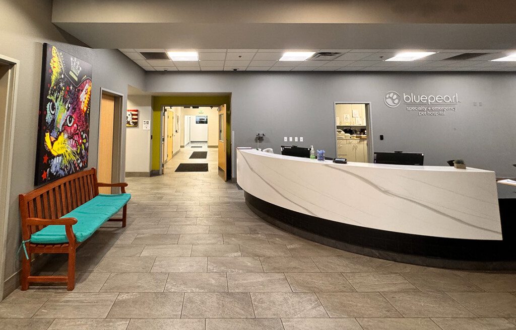 The BluePearl Pet Hospital lobby in Reno, NV.