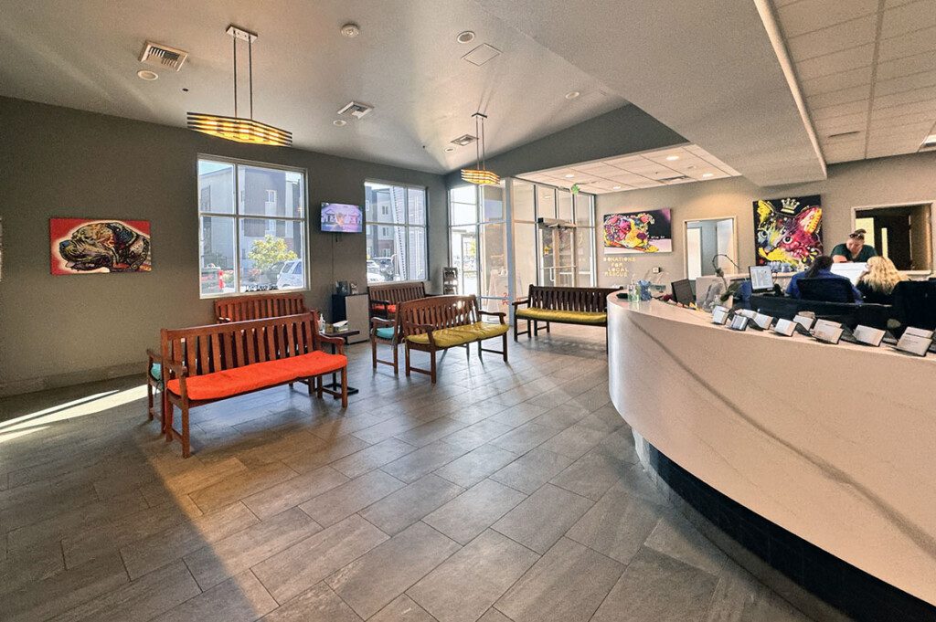 The BluePearl Pet Hospital lobby in Reno, NV.