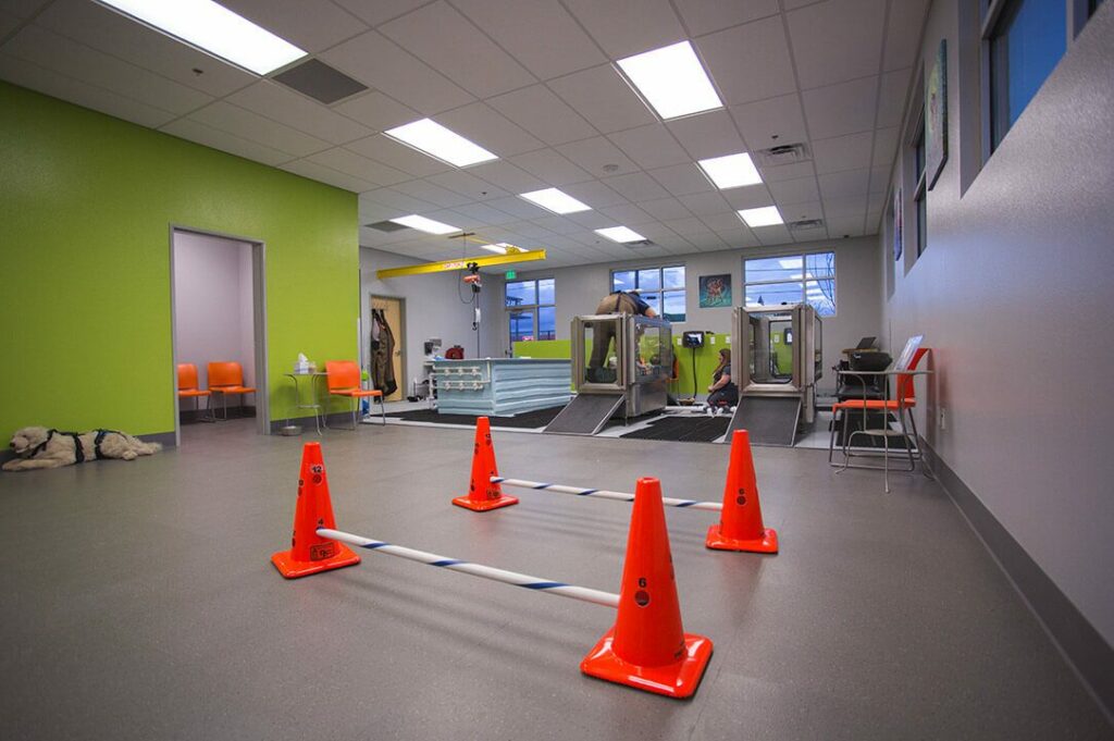 A large room with orange cones serves as a rehabilitation center.
