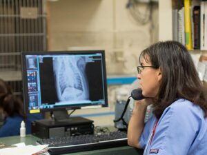 A female veterinarian speaks on the phone while looking at an x-ray on the computer.