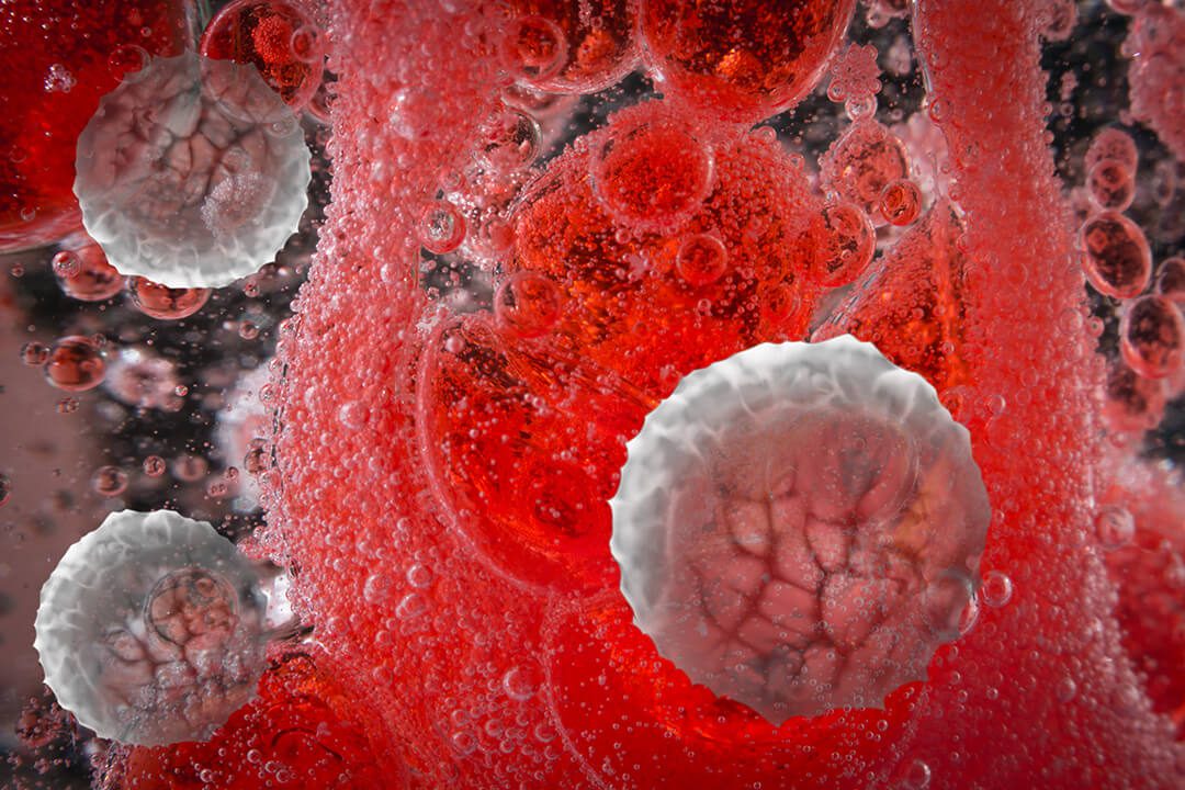 An artistic rendering of red blood cells.