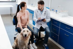 Male vet speaks to pet owner with golden retriever