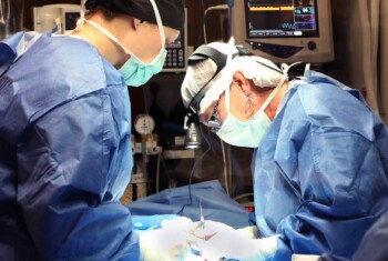 Two masked surgeons in blue gowns perform surgery on a patient.