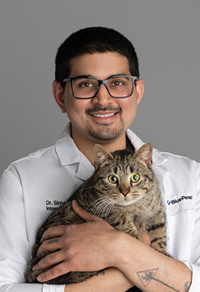 Dr. Neil Sinha smiles for a professional photo while holding one of his cats in his arms. He is wearing his BluePearl whitecoat.