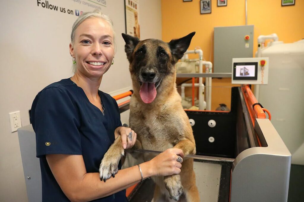A blond rehabilitation practitioner stands with her dog in a treadmill.