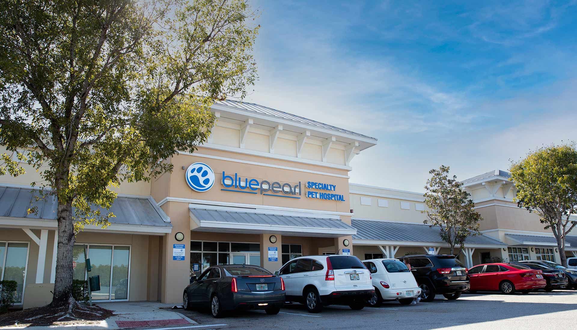 BluePearl Pet Hospital | Naples, FL | Emergency Vet