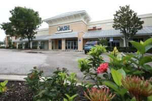 touching baby rabbits