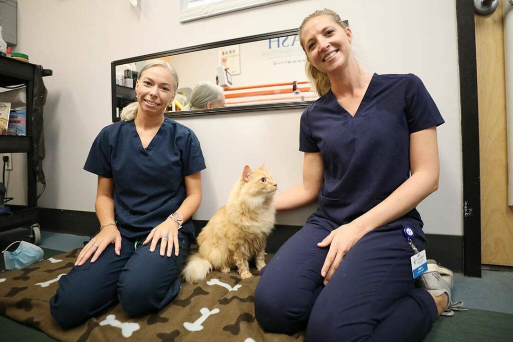 Two blond rehabilitation technicians sit with an orange tabby cat.