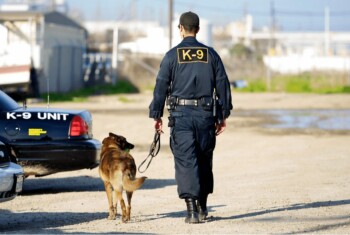 A K-9 officer and his dog walk to their police car.