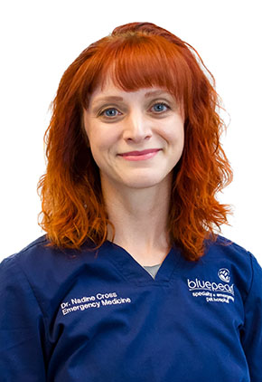 Dr. Nadine Cross is a clinician in our emergency medicine service.