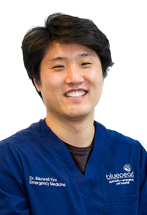 Dr. Maxwell Yim is a clinician in our emergency medicine service.