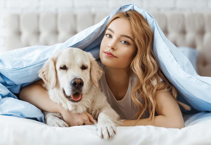 A yellow lab lays under a blue blanket next to a blonde woman.