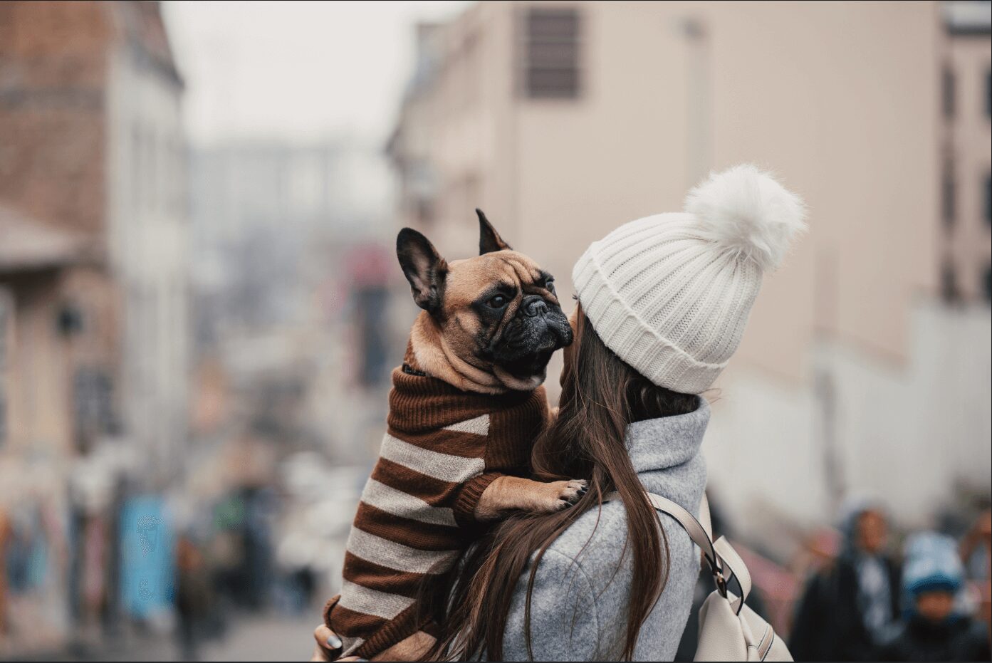 A long-haired woman carries a French bulldog wearing a striped sweater.