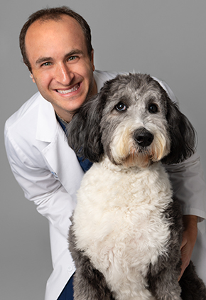 Dr. Ross Feldgreber is a doctor in our cardiology service. He is next to gray and white dog.