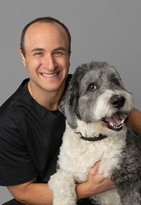 Dr. Ross Feldgreber smiles for a professional photo with his grey and white sheepadoodle. He is wearing a black polo and has his arms around his dog.