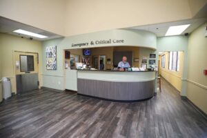 Bright spacious lobby has wood floors and a man at the front help desk.