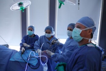 A team of surgeons repair a dog's knee.