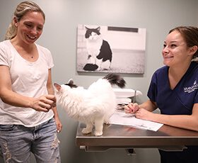 camp horne animal hospital