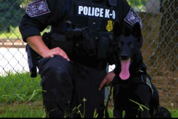 All black police dog next to kneeling K9 handler.
