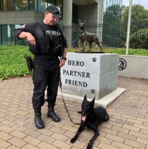 Police officer stands above K9 officer.