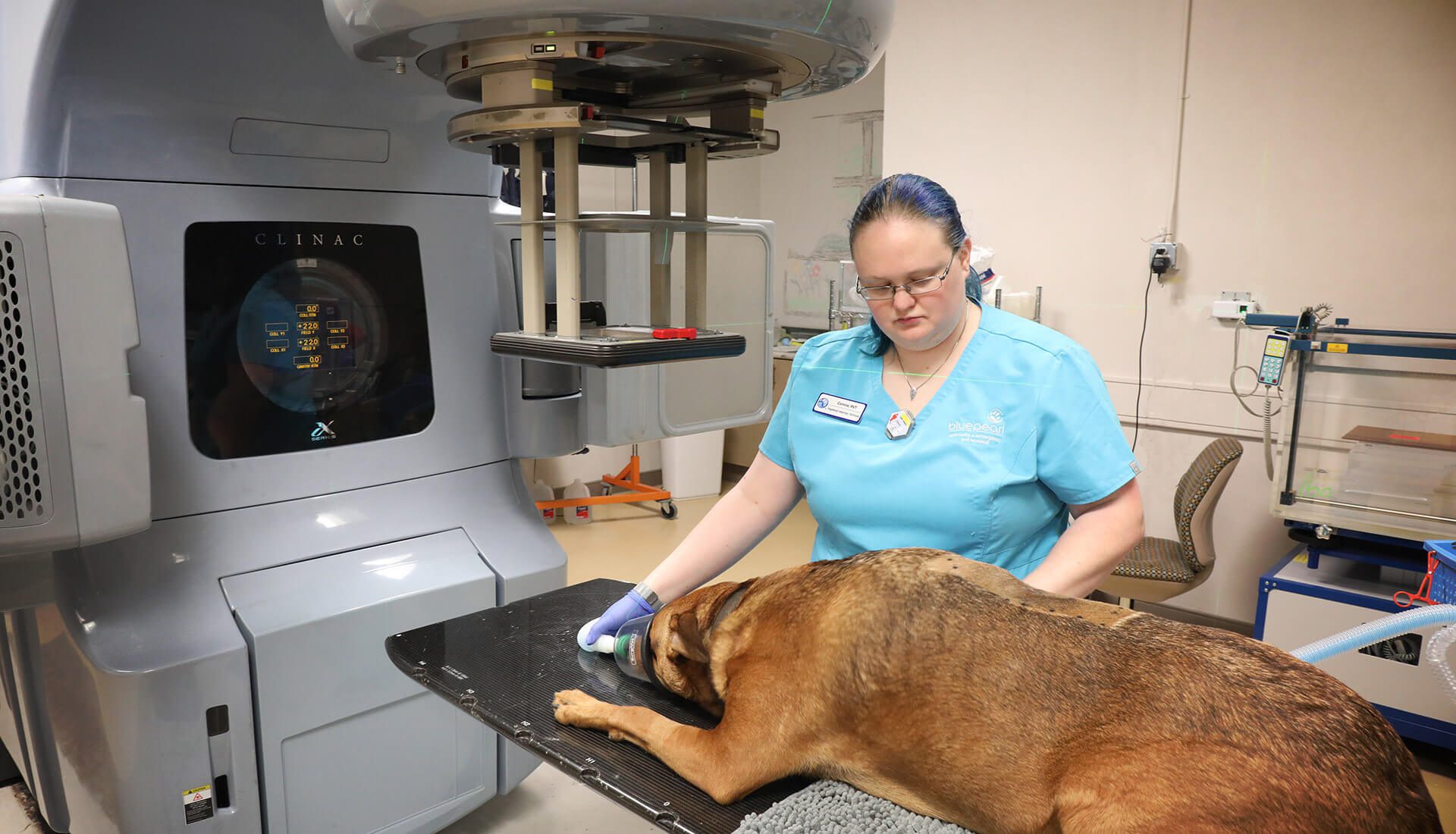 How Much Does Radiation Treatment For Dogs Cost