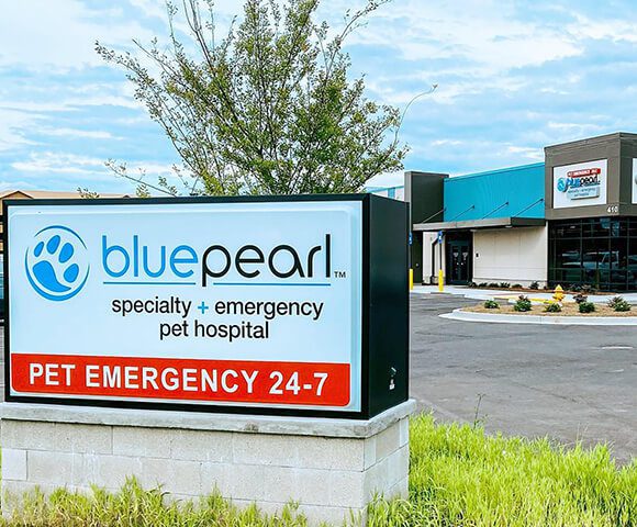 BluePearl Pet Hospital | ER Vet | Augusta, GA