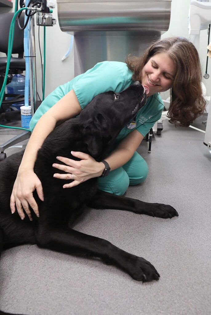 A vet technician holds a black lab who looks up to her to lick.