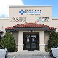 BluePearl Pet Hospital | East Orlando, FL | Animal Hospital
